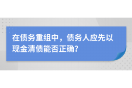 普陀区普陀区的要账公司在催收过程中的策略和技巧有哪些？